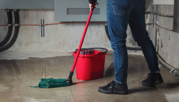 Best Basement water damage restoration  in Johnson City, TN