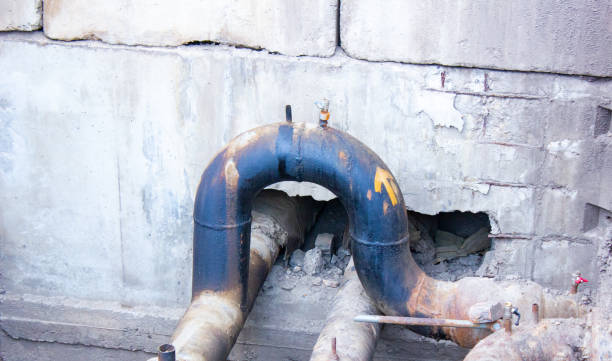 Best Flood damage cleanup  in Johnson City, TN
