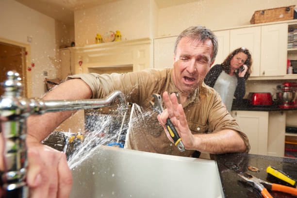 Best Mold removal after water damage  in Johnson City, TN